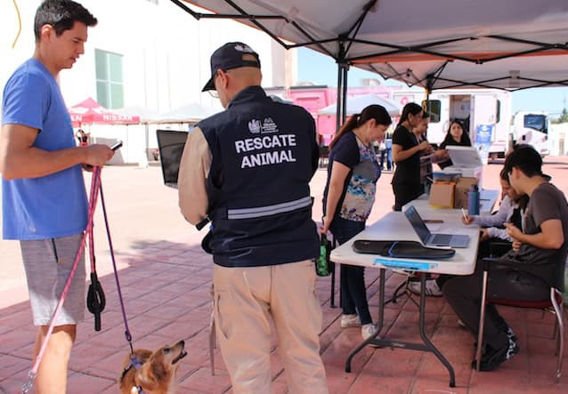 rescate animal mpio