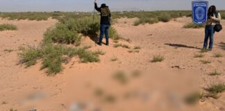 Localiza FGE osamenta incompleta durante segundo día de rastreo