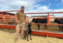 Entrena Desarrollo Rural a médicos veterinarios con binomios caninos especializados en la detección de GBG