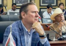 Olson critica a Morena por frenar reforma contra la intervención del crimen organizado en elecciones