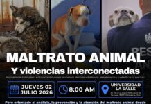 Invita Gobierno Municipal al Foro “Maltrato Animal y Violencias Interconectadas”