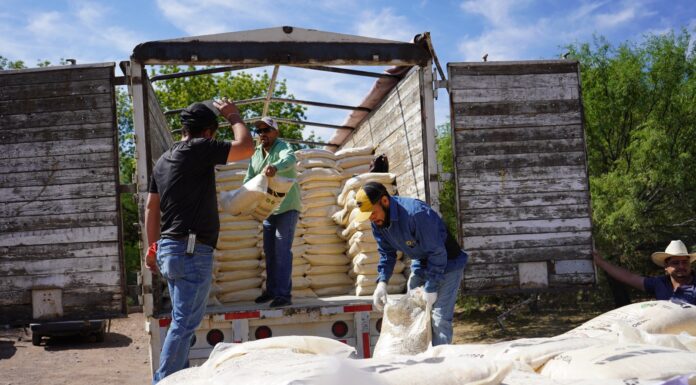Más apoyo al campo: Estado y Municipio entregan alimento para ganado a mil 150 productores de la zona rural de la Capital