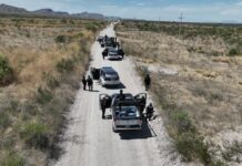 Despliega SSPE operativo táctico en la zona Aldama-Ojinaga