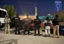 Armas y drogas aseguradas como resultado de operativo conjunto; hay 15 detenidos