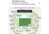 América Vs Chivas: Reventa para el Clásico de septiembre supera los $70,000 pesos