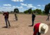 FCAyF-UACH establece parcela experimental para definir la densidad óptima de plantación de sotol