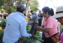 Entrega SDR mil árboles en conmemoración del Día Nacional del Árbol