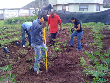 Impulsa UACH investigación para reducir emisiones de metano y fortalecer la ganadería sostenible en Chihuahua