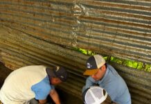 Continúa Gobierno del Estado barrido sanitario para prevenir el GBG en Parral