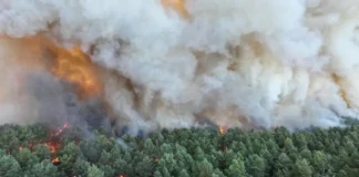Decenas de miles de personas huyen de los incendios en Francia Decenas de miles de personas huyen de los incendios en Francia