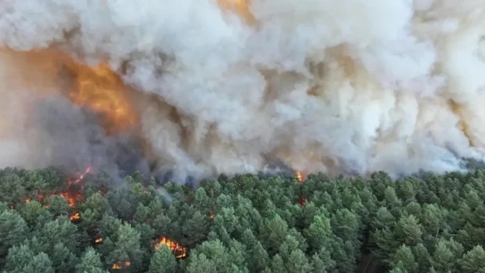 Decenas de miles de personas huyen de los incendios en Francia